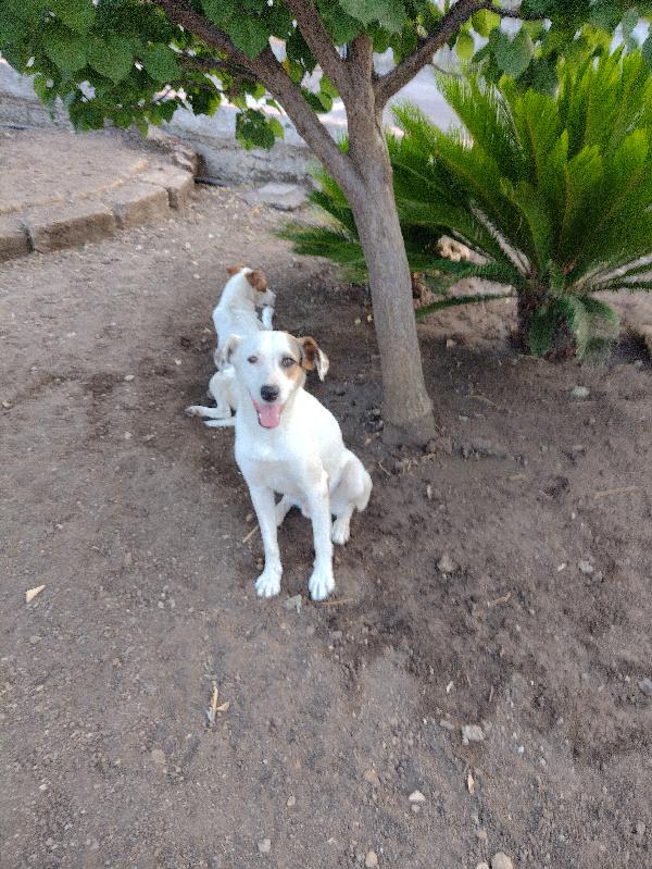 Ciao a tutti da Robin (Catania) Foto 2